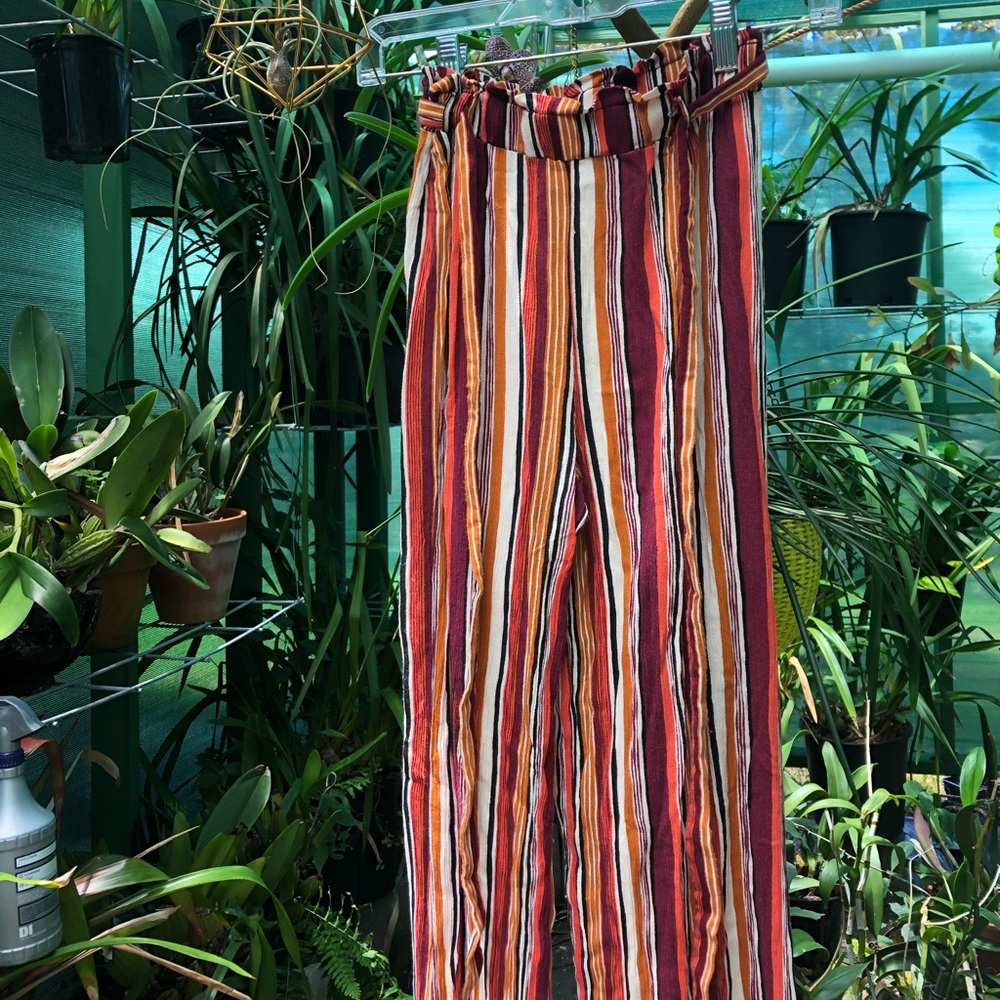 Multi-Colored Striped Pants